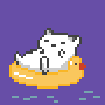 lazy floating cat