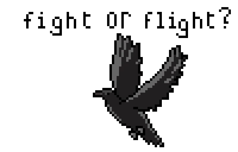 fight or flight by conan gray
