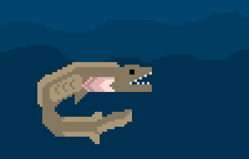 frilled shark contest