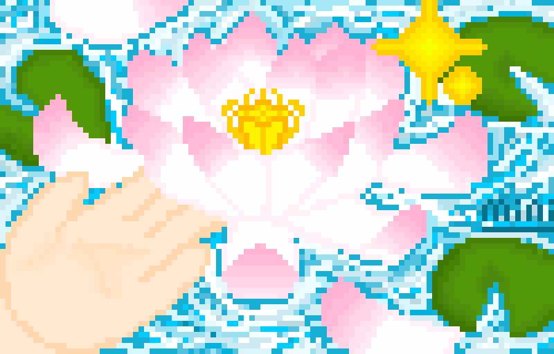 Nelumbo Nucifera (lotus)