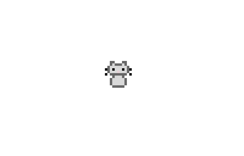 moving cat