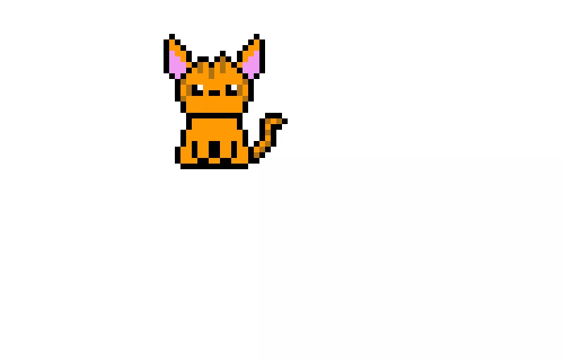 moving cat
