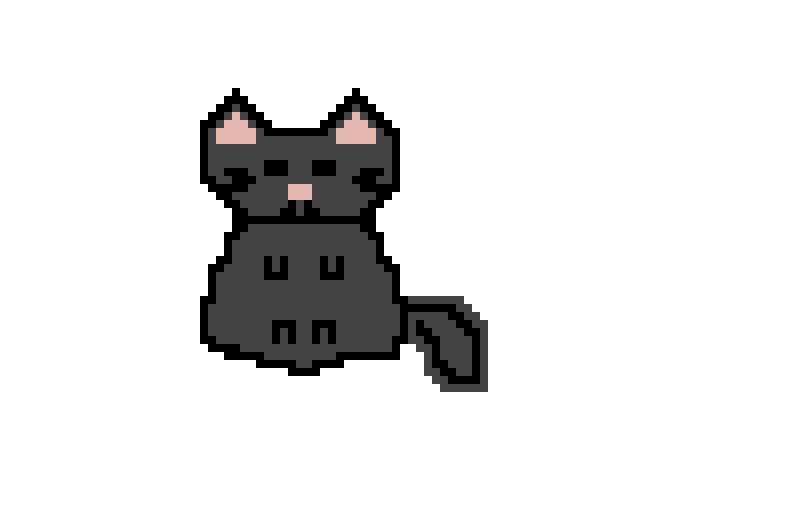 pic of my cat