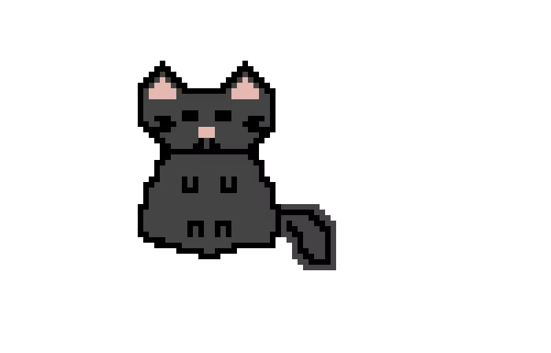 pic of my cat