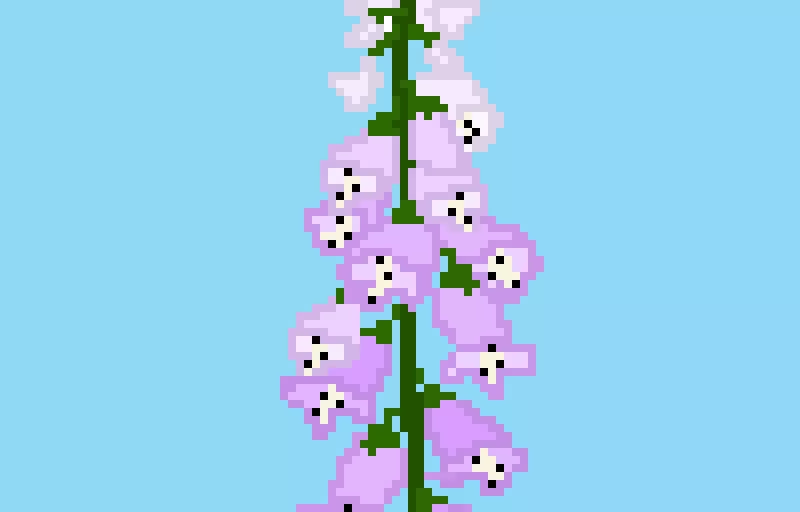 @trash_panda this is for you, anyone who guesses my favorite flower gets a pixel art of onethey want