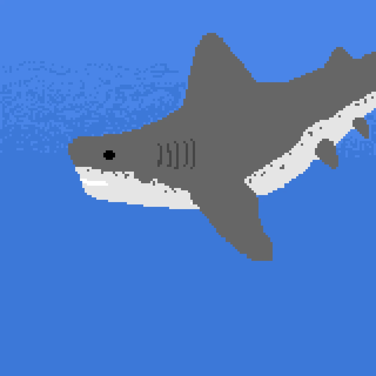 shark-in-water