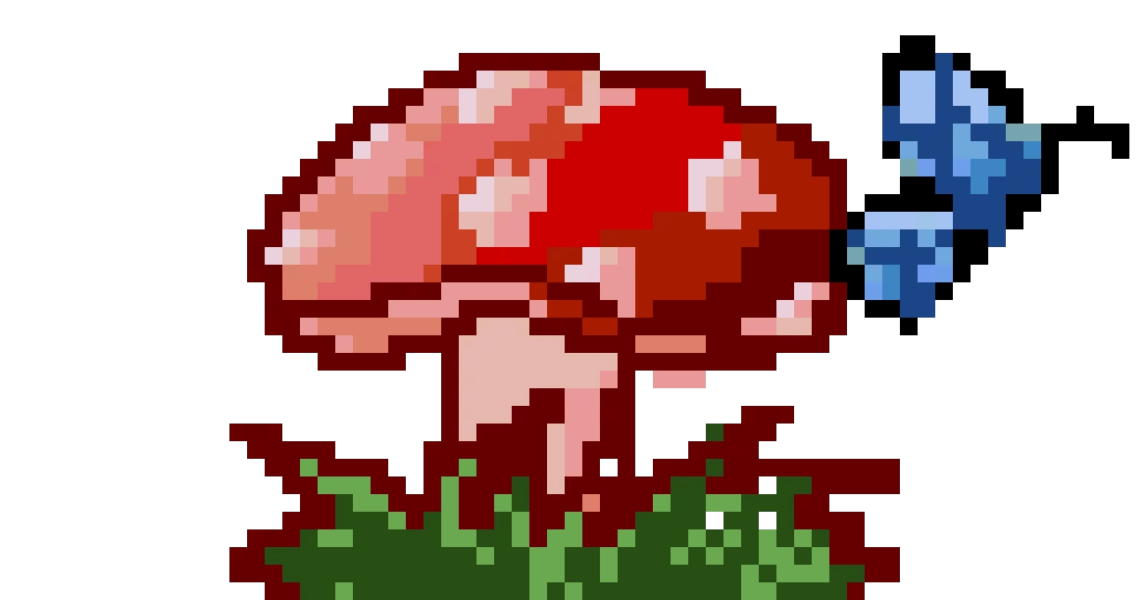 First  time mushroom