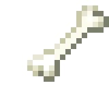 minecraft bone contest