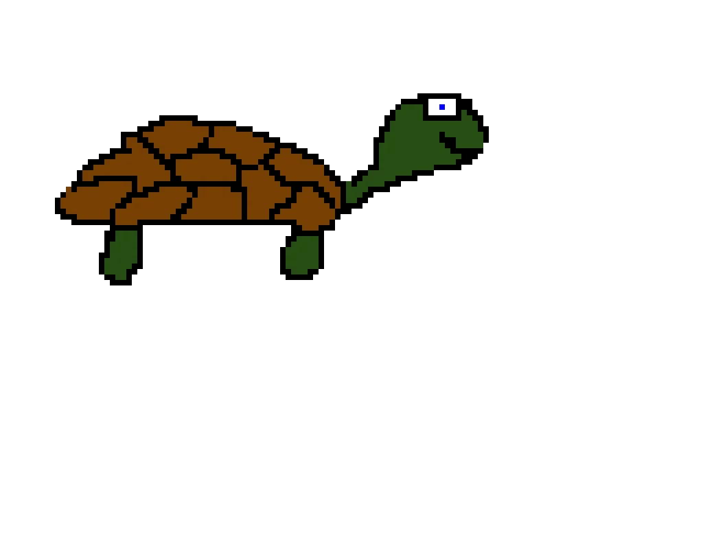 turtle