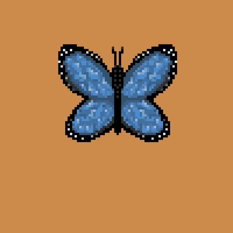 butterfly (my first drawing lol)