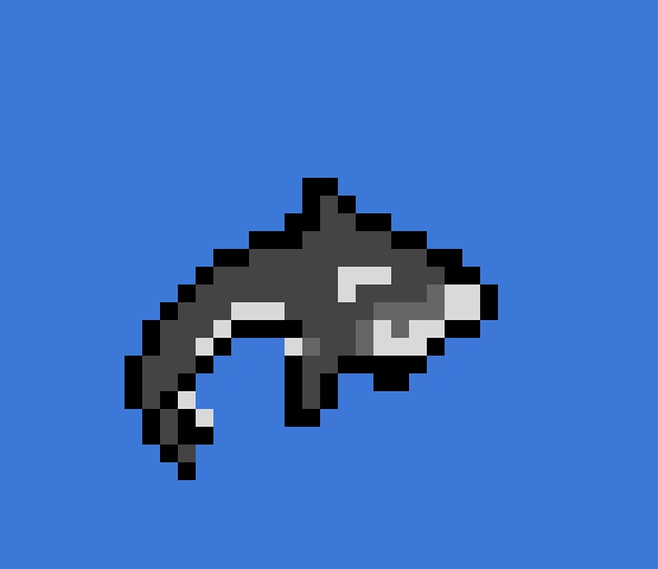 killer whle orca