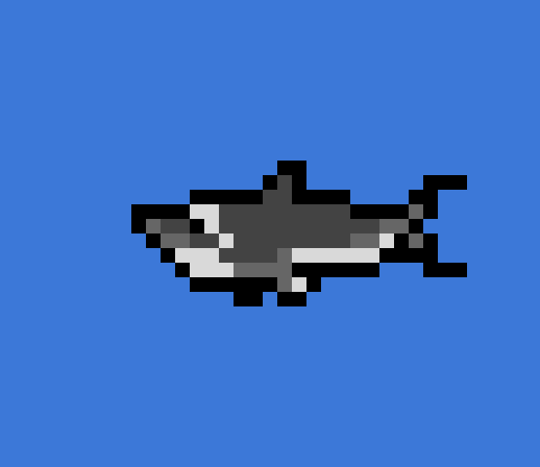 Lil Shark