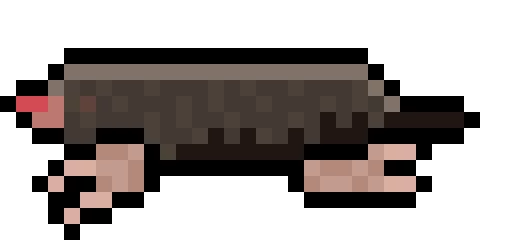 mole squirrel but molier