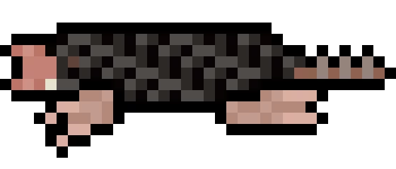 the aquatic star nosed mole but it rsquo s a squirrel ig