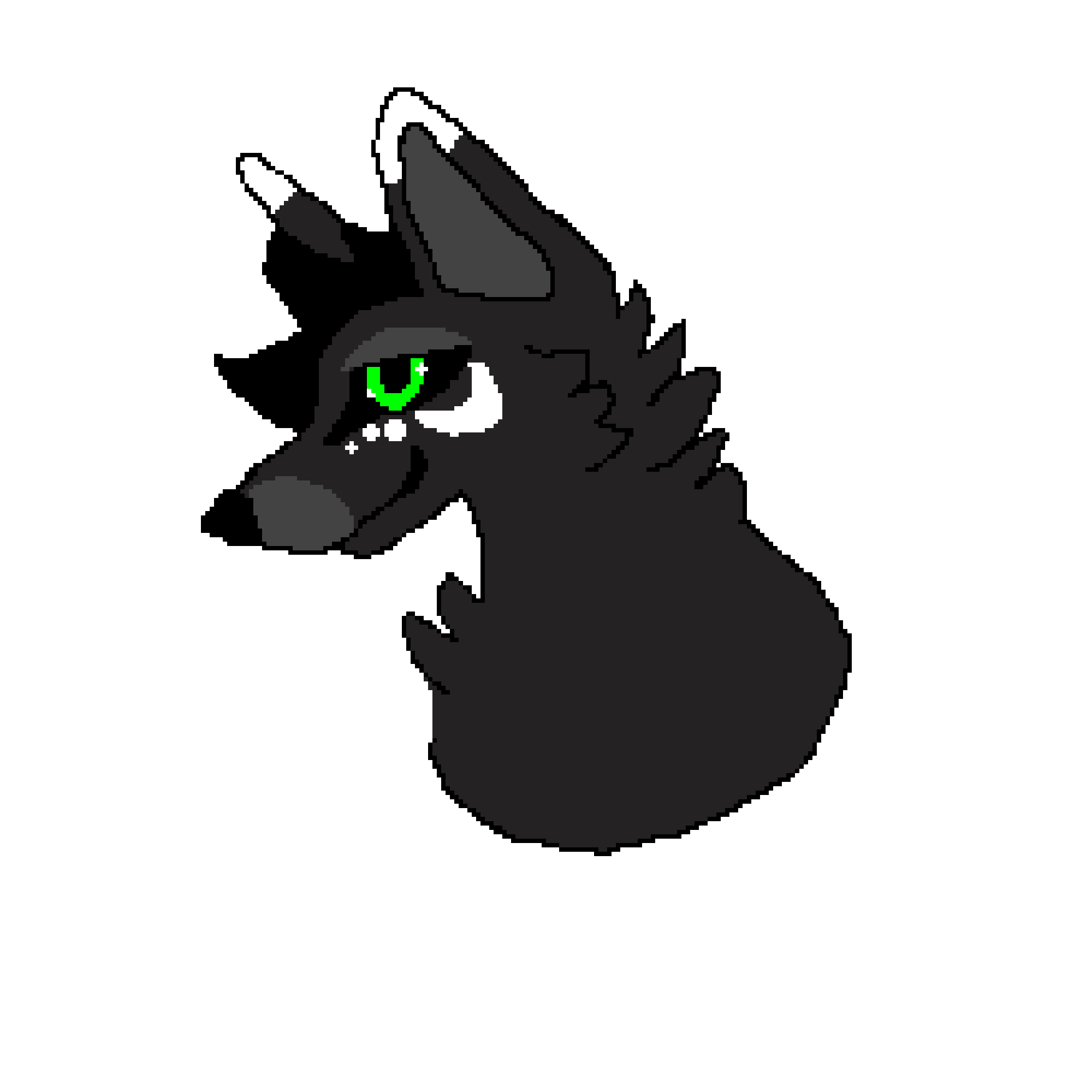 Rune the wolf oc please don’t copy any of my oc’s