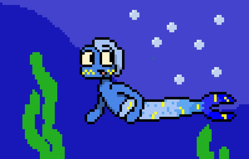 coquille the mermaid contest