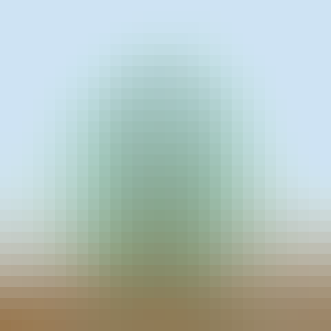 Guess the pixel art based on the blended version