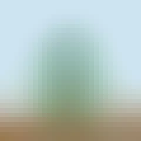 Guess the pixel art based on the blended version