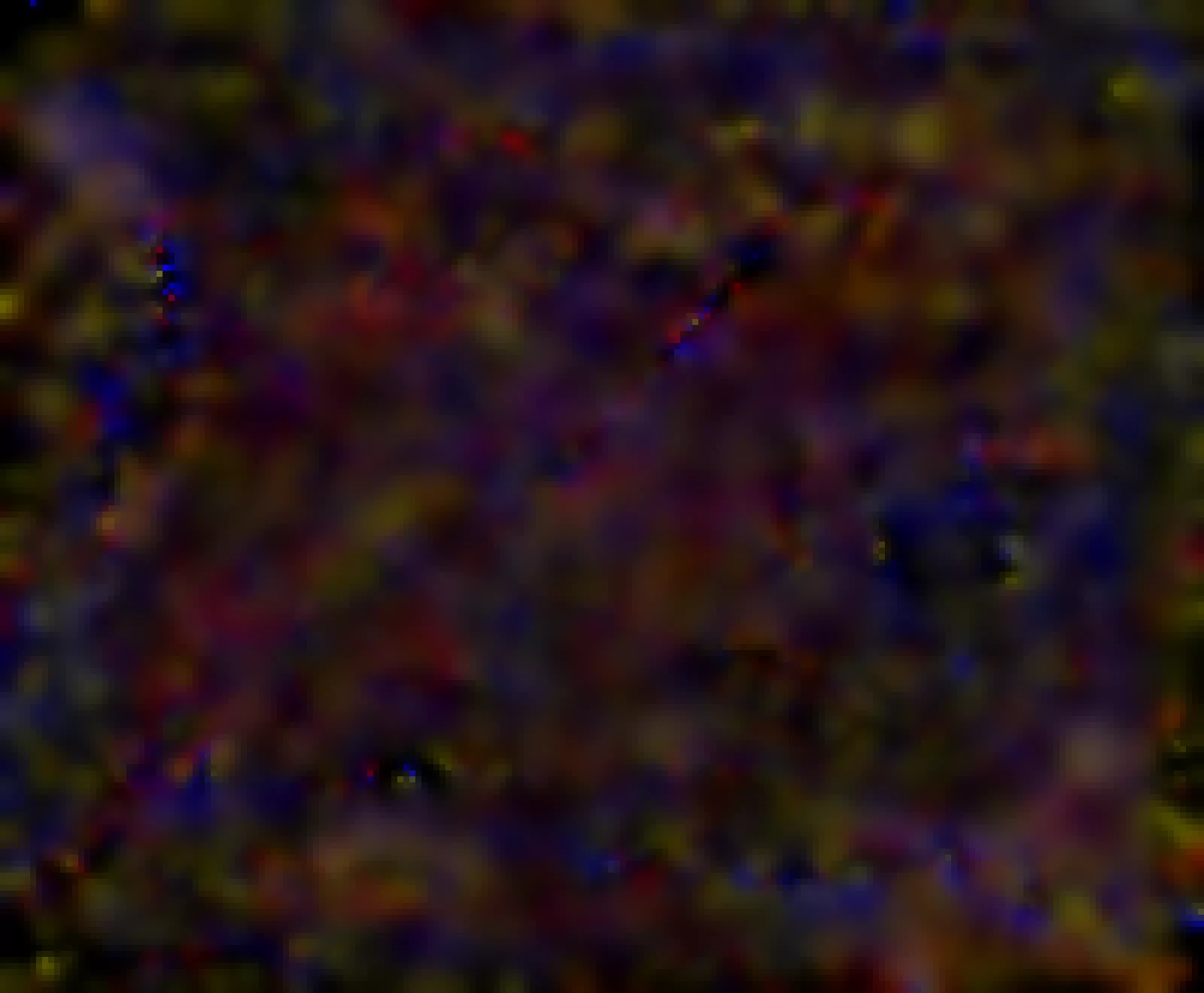Im no abstraction. NO.  (shureeeeee...e)