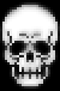 skull