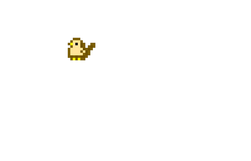 small bird