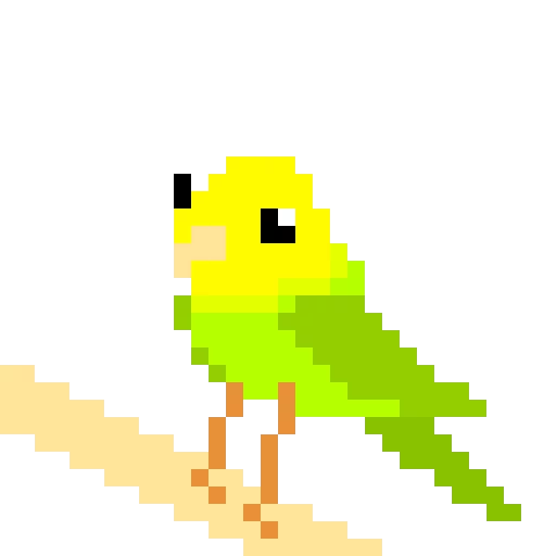 little parakeet contest