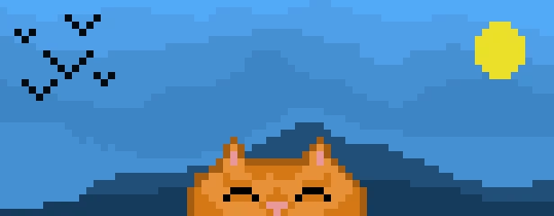 Orange cat at the beach