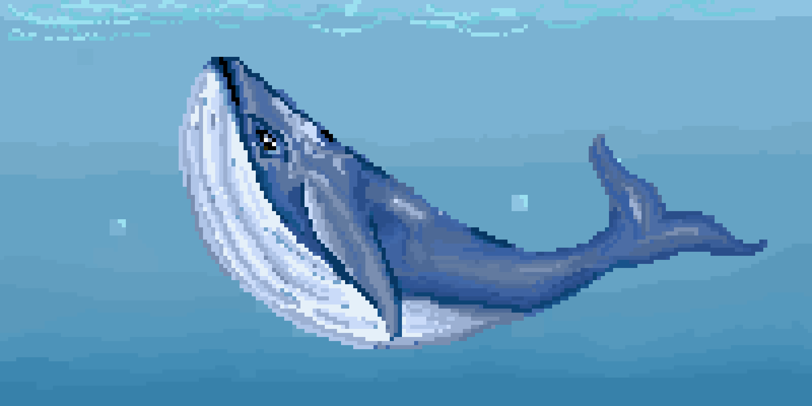 Realistic Whale (this took me SO long) CONTEST