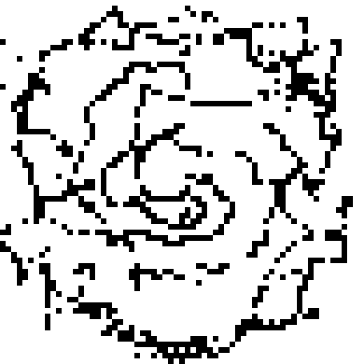 the black quantum rift