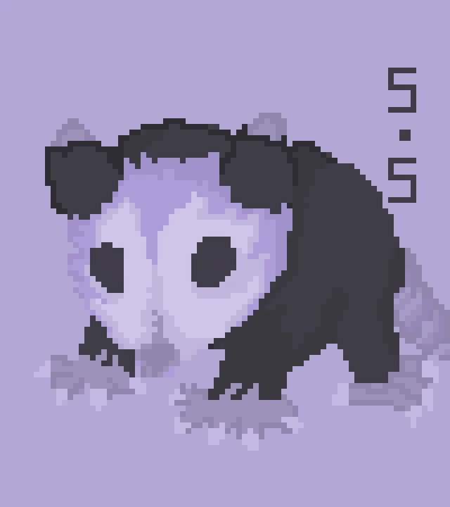 opossum by s stan 779926