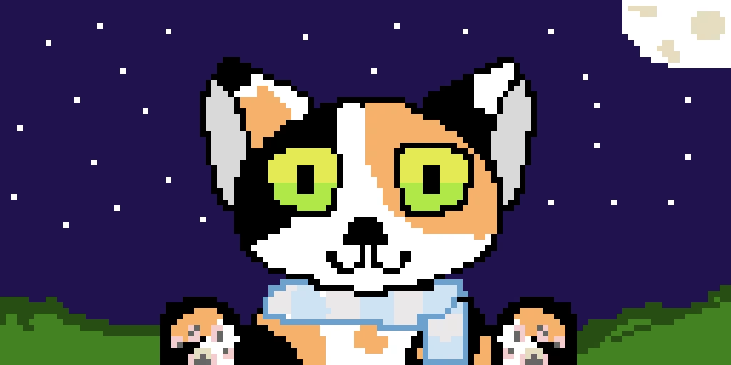 mi gato con una bufanda bajo la luna ( my cat with a scarf under the moon)