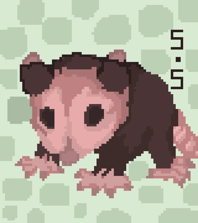 red opossum by 779926 s stan