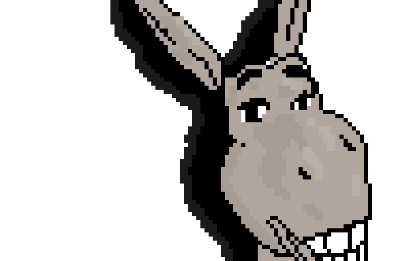 donkey with shadow from sethishim