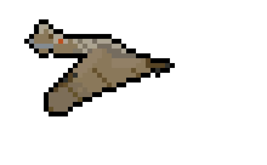 flying segelkopf female