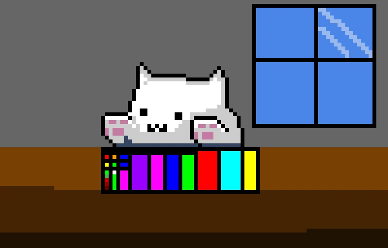 funi cat pianist contest