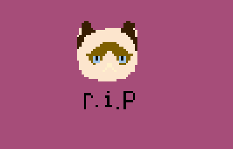 r-i-p-grumpy-cat