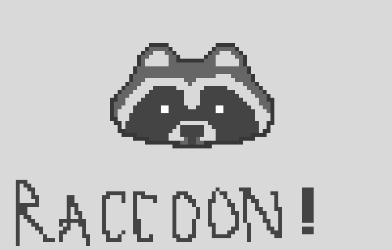 RACCOON