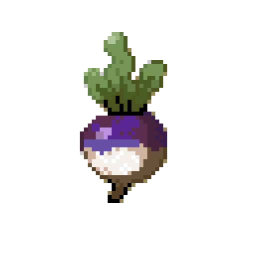 turnip
