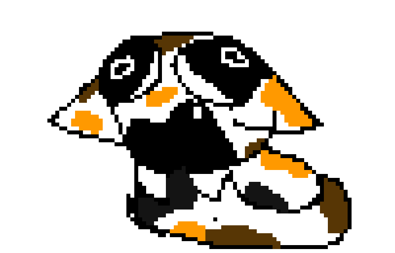 Its Autumns (oc) cat, Calypso