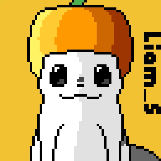 *profile pic* (this is how you wear it yes?)