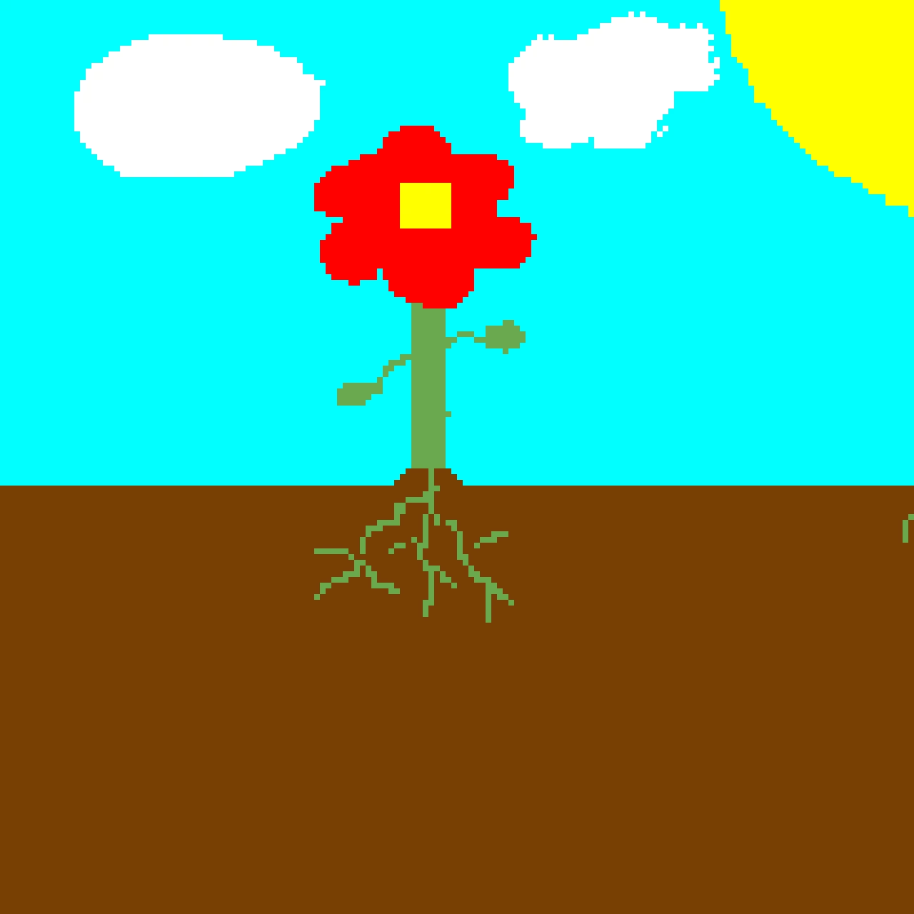 Flower (contest)