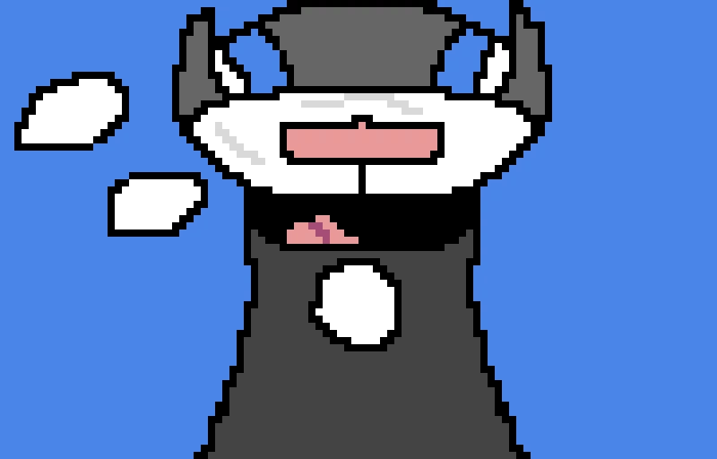 dog is it good i did mirror random