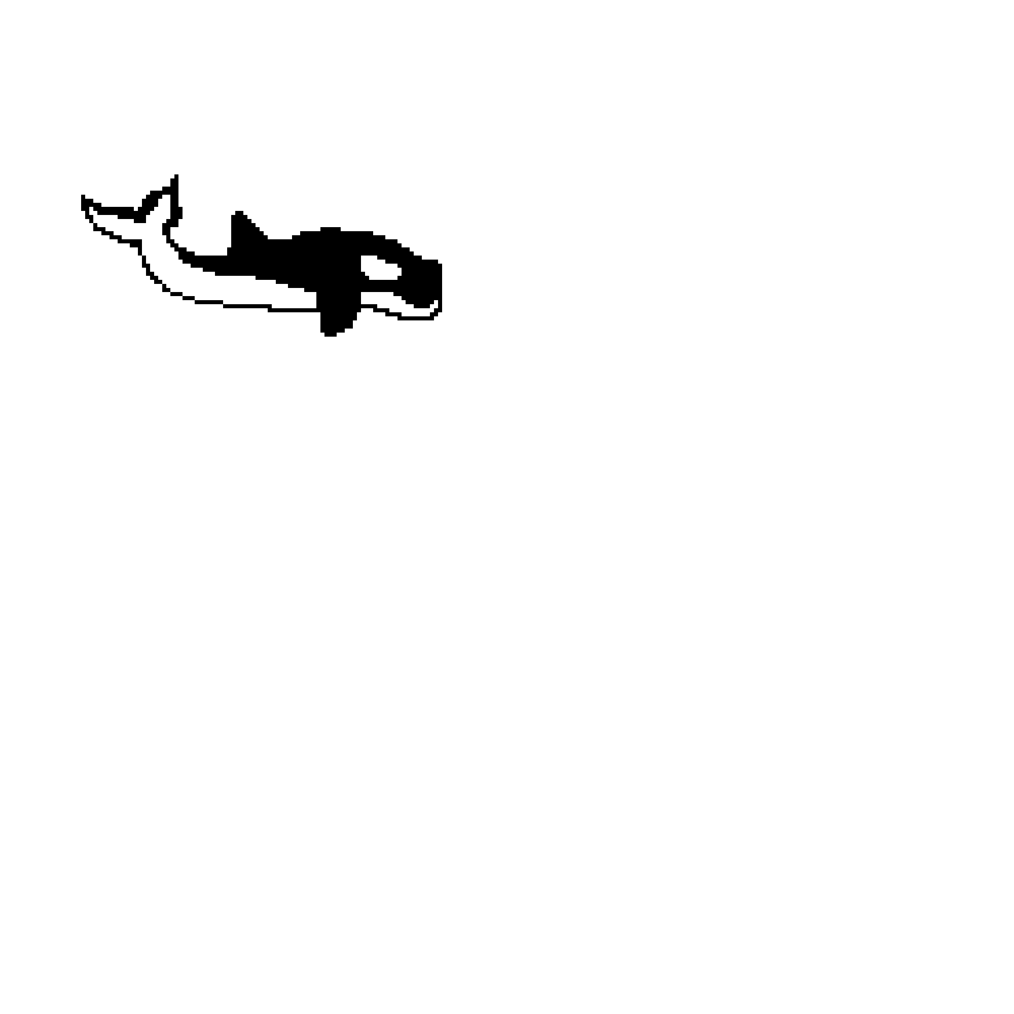 my aunts favorite animal 