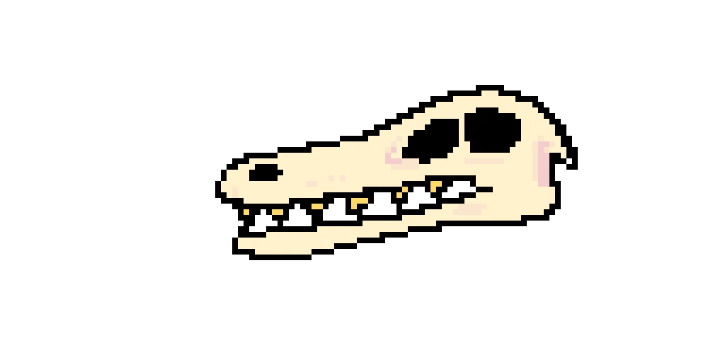 Velociraptor skull 