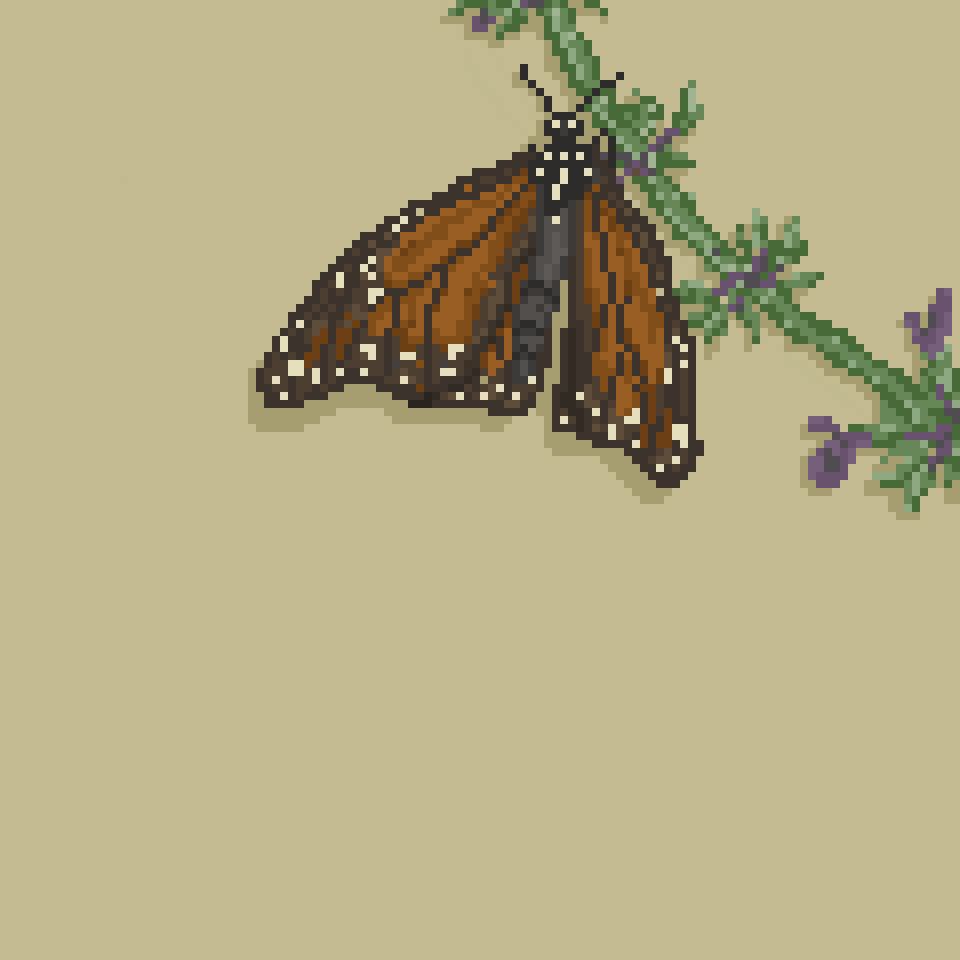 monarch-wwf-gifts-page