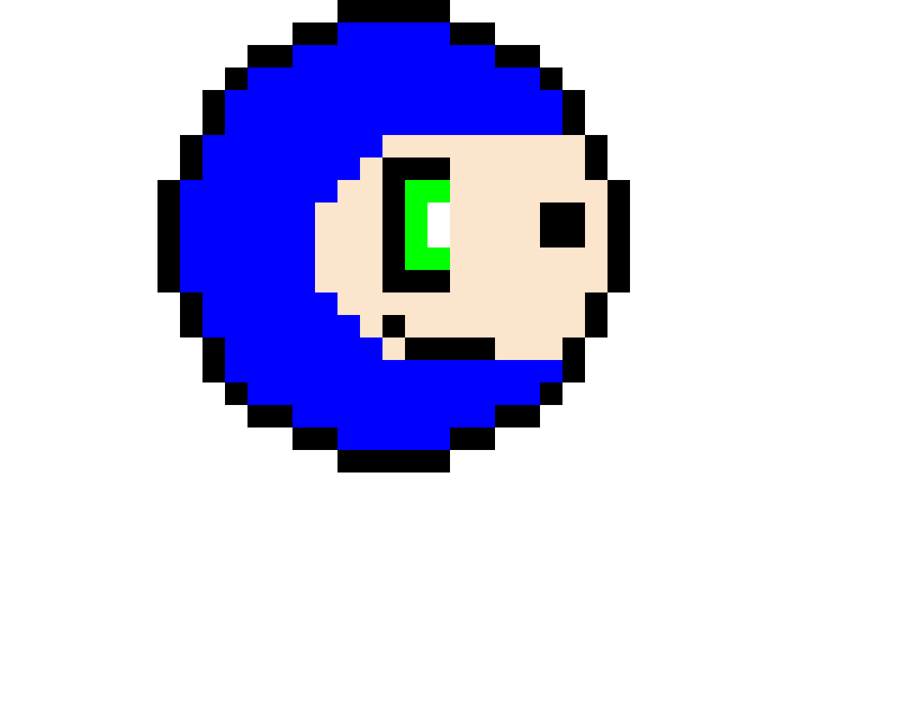 Sonic the Hedge(profile pic)