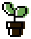 unfully colored bean plant