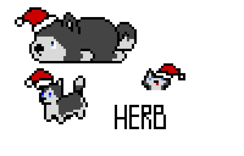 herb the husky contest