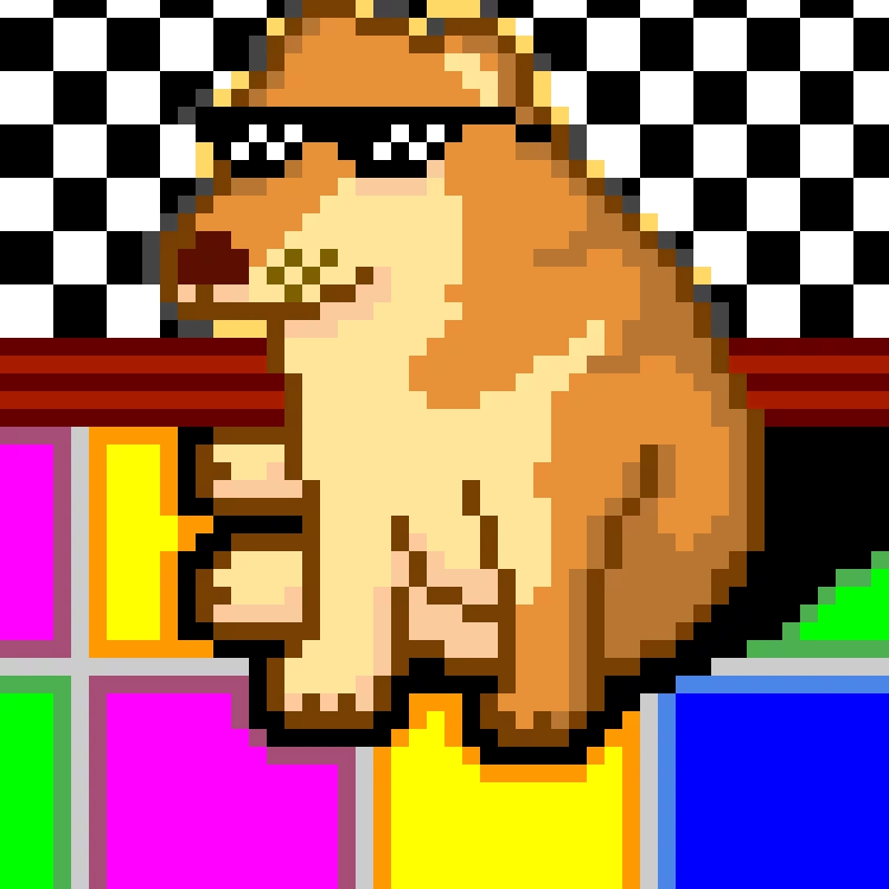 dance party doge contest