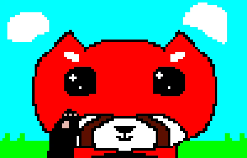 red panda